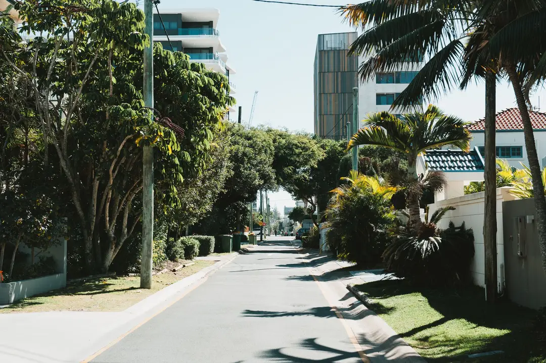 Sunlit residential street lined with trees